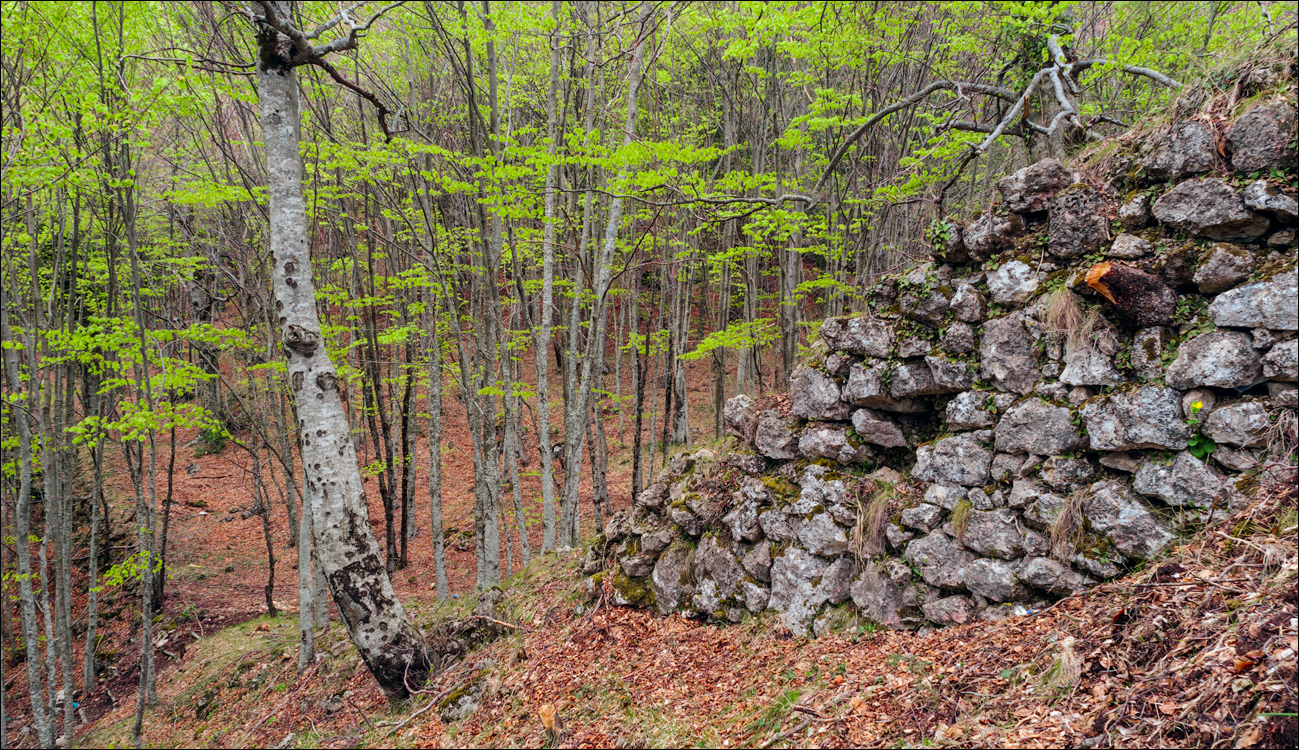 Titana Dajti April2009 20080417053