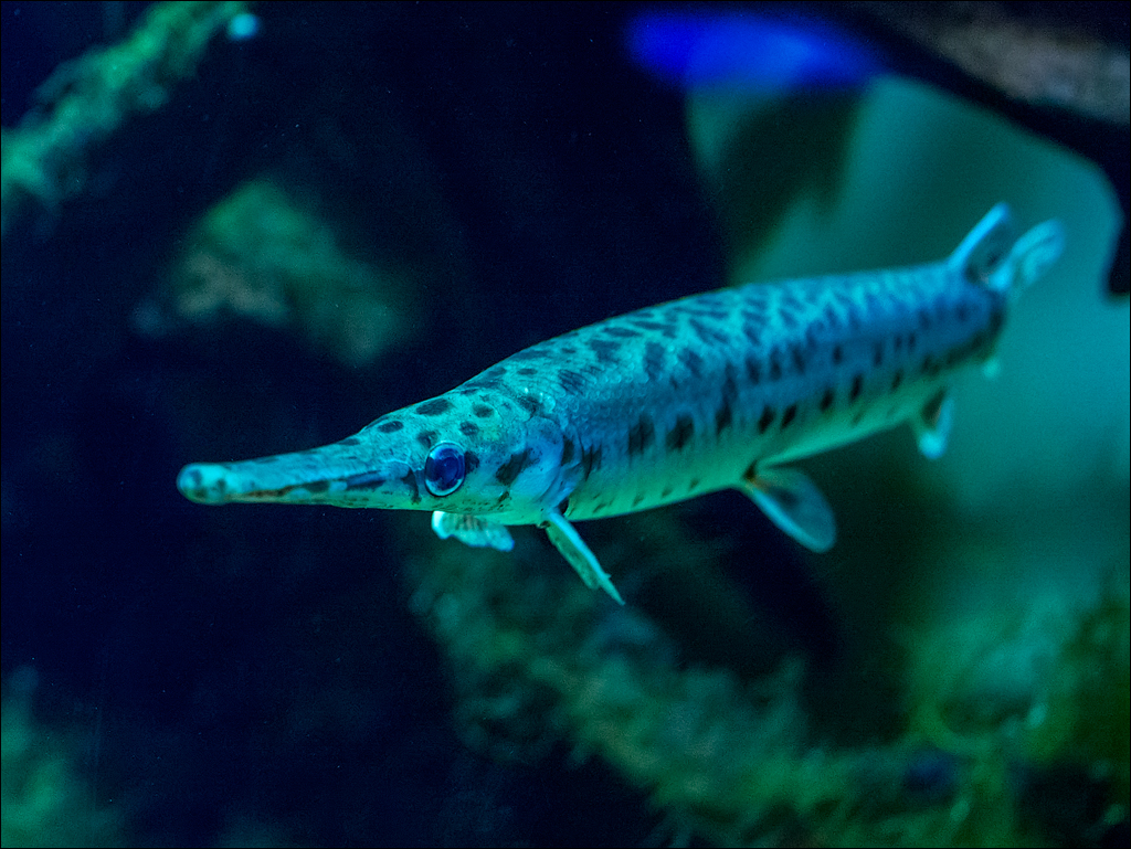 Salzburg 20180101047