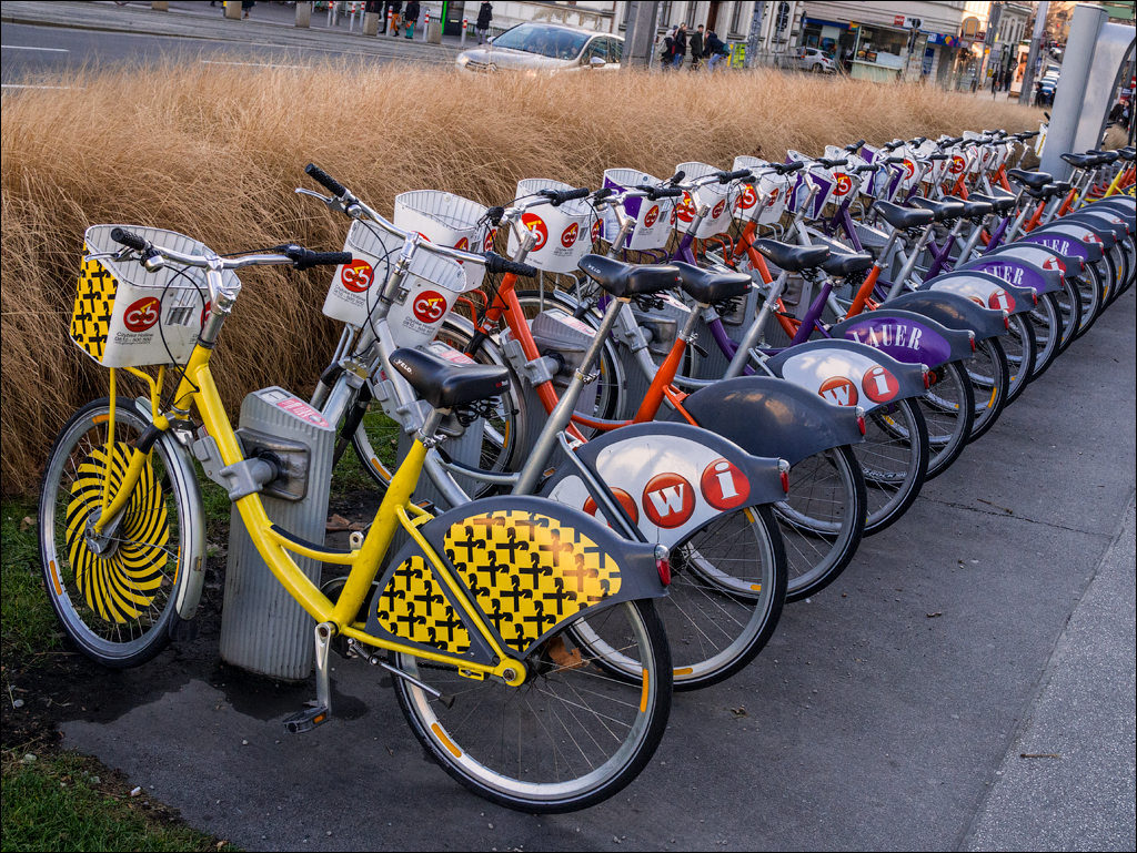 Vienna 1 20180101025