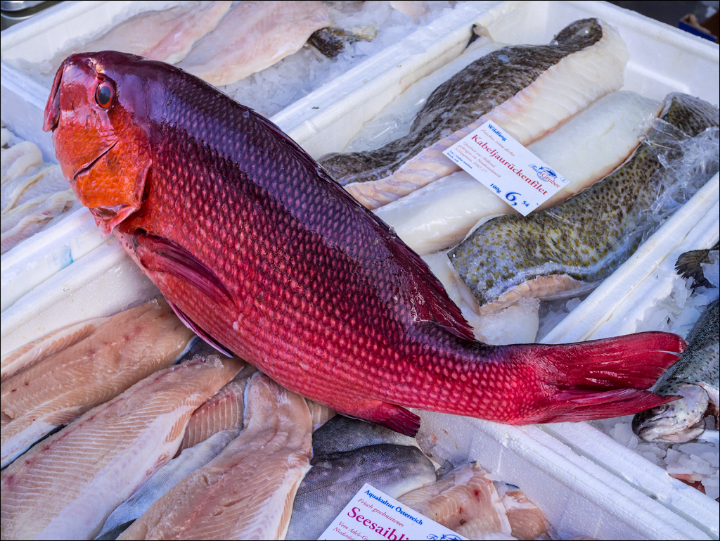 Vienna 1 20180101027