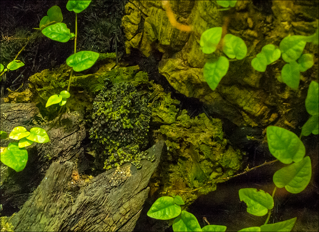 Vienna 2 20180101109