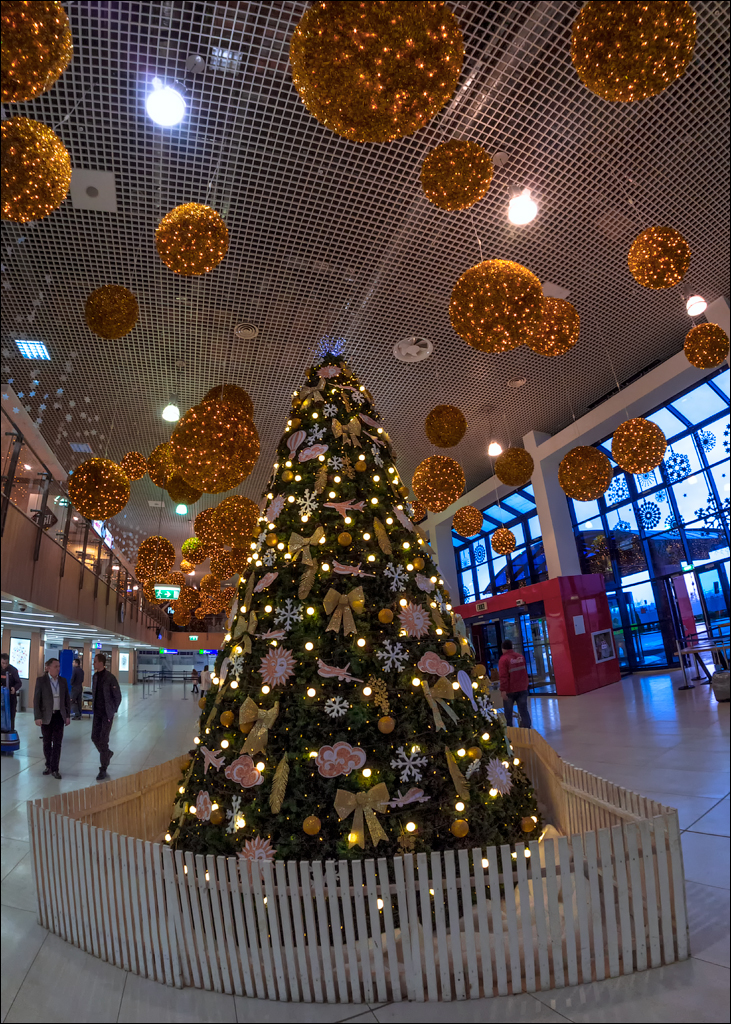 Vienna 2 20180101117