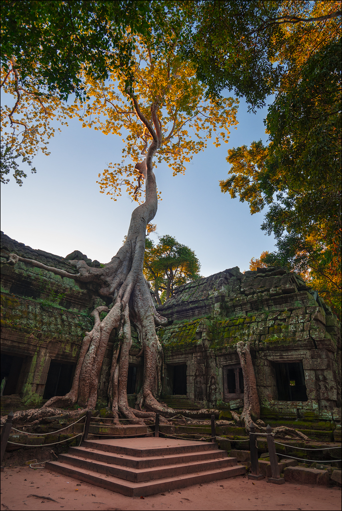 Ta Prohm Nov2009 006