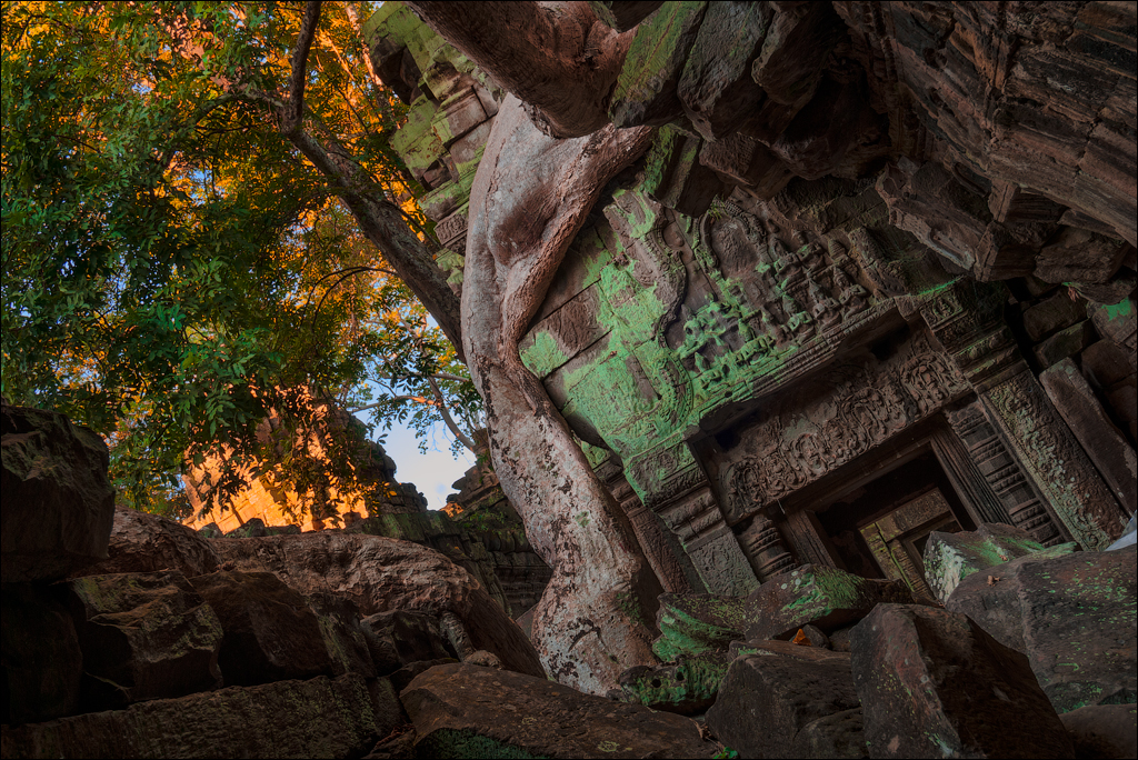 Ta Prohm Nov2009 007