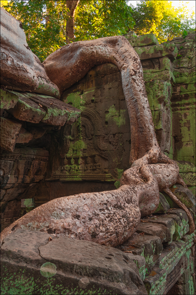 Ta Prohm Nov2009 015