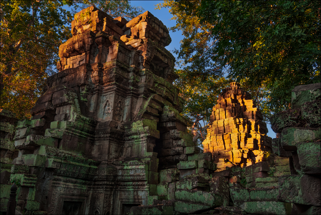 Ta Prohm Nov2009 018