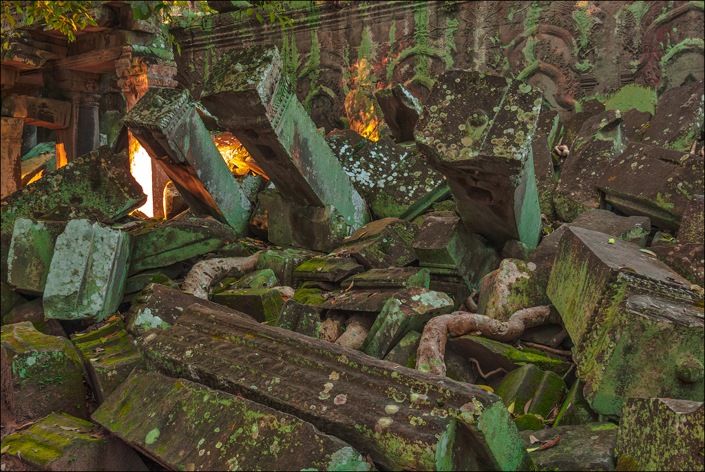 Ta Prohm Nov2009 032