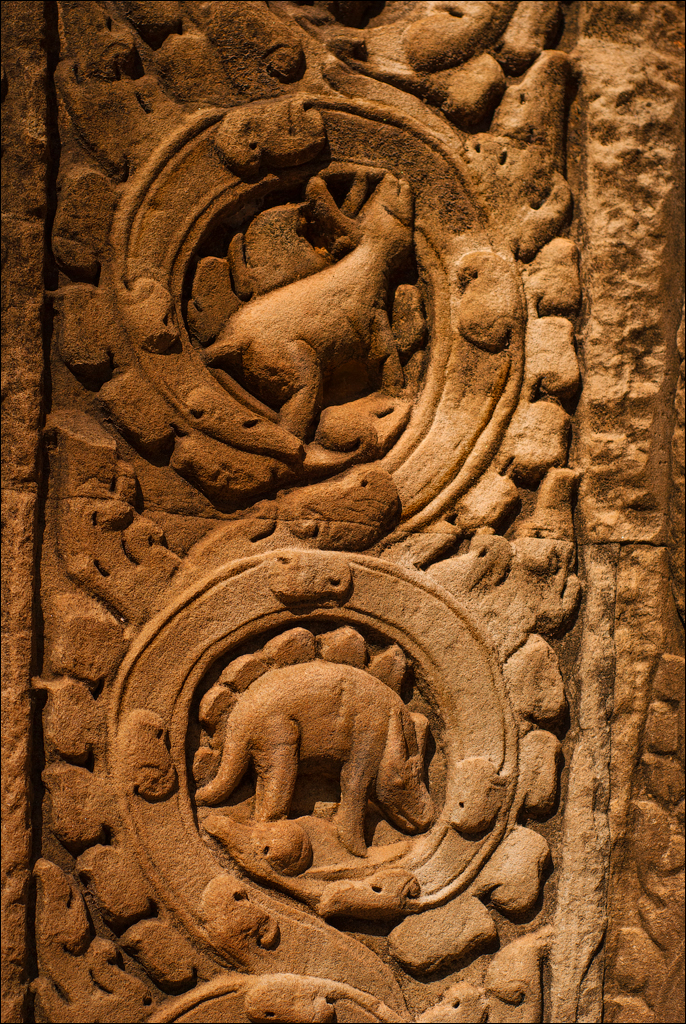 Ta Prohm Nov2009 042