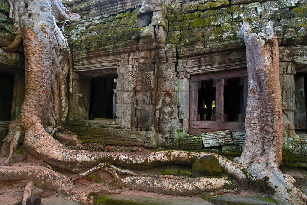 Ta Prohm Nov2009 048