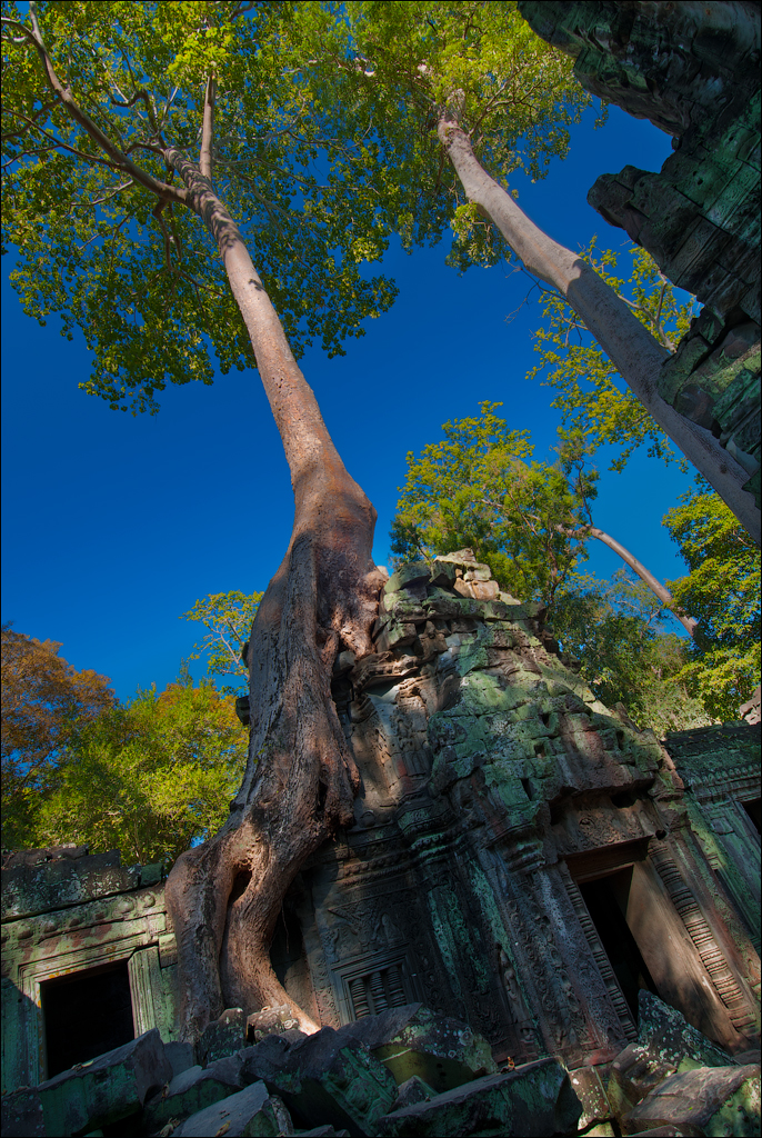 Ta Prohm Nov2009 049