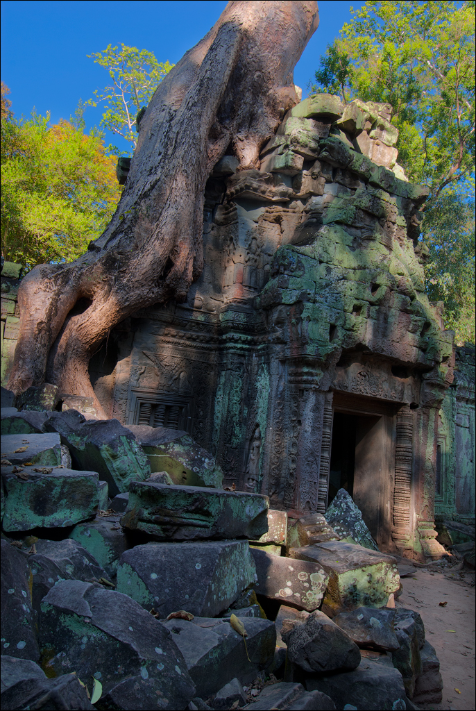 Ta Prohm Nov2009 053