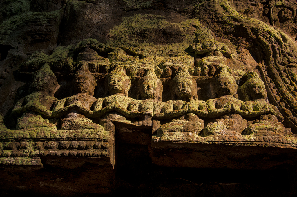 Ta Prohm Nov2009 054