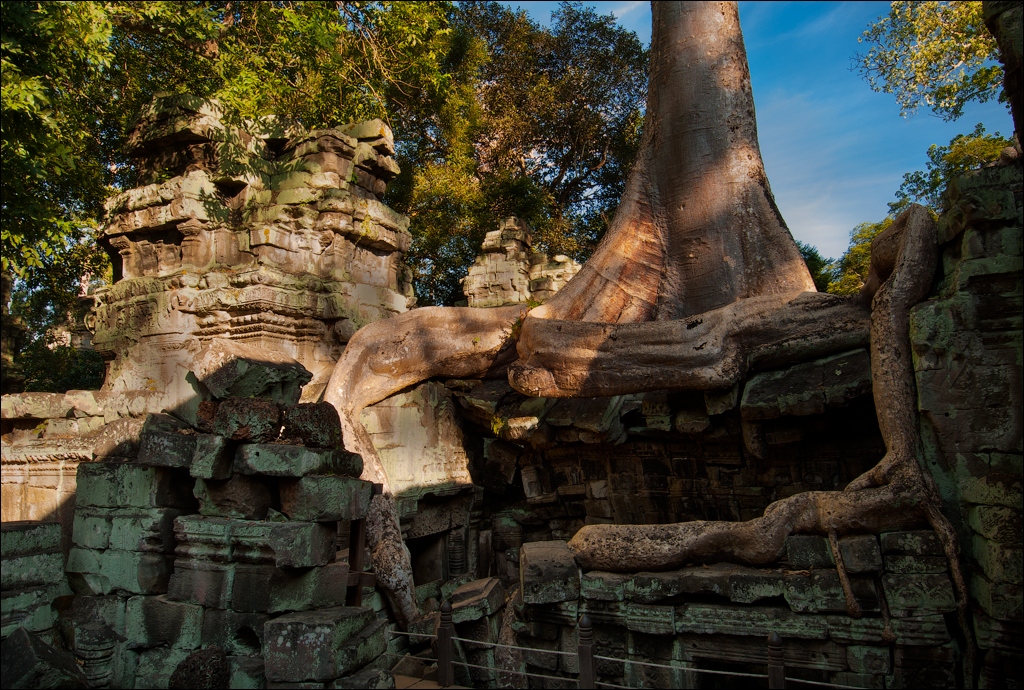 Ta Prohm Nov2009 058