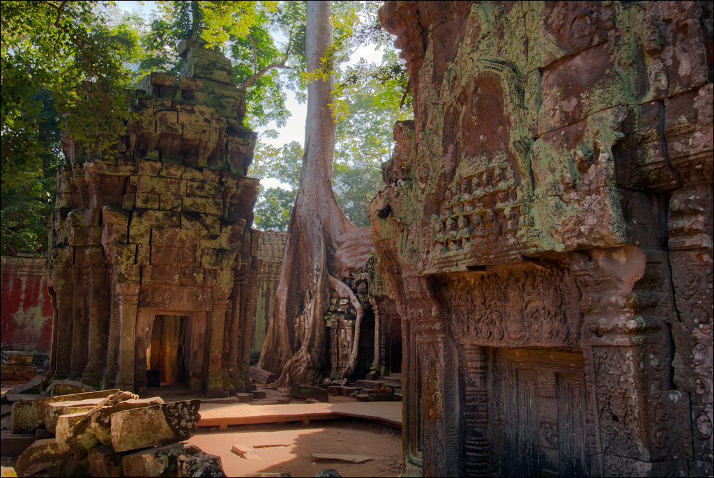 Ta Prohm Nov2009 065