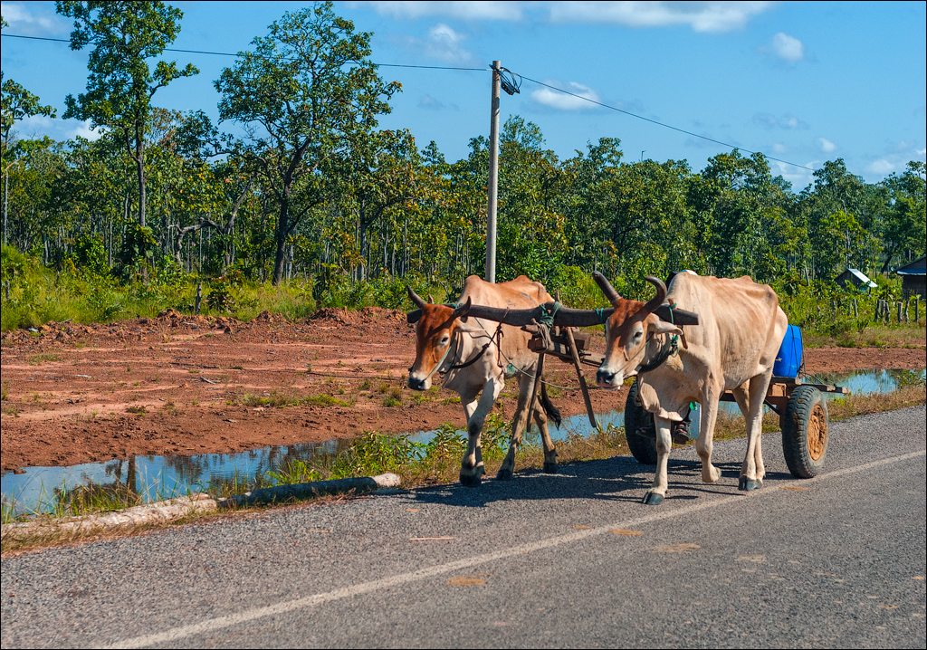 Preah Vihear Nov2009 086