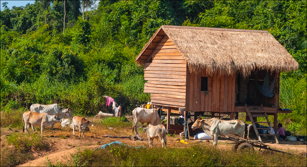 Preah Vihear Nov2009 087