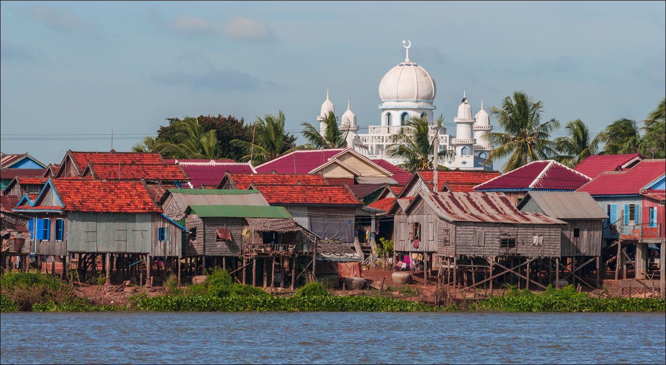 PhnomPehn TonleSap Nov2009 053