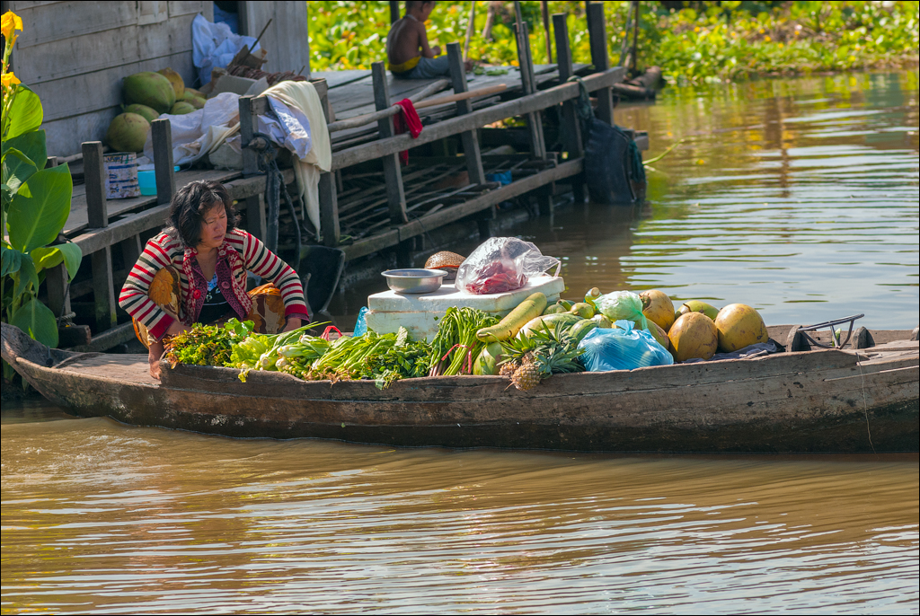PhnomPehn TonleSap Nov2009 070