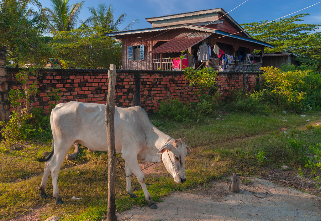 Kampot Bokor Nov2009 008