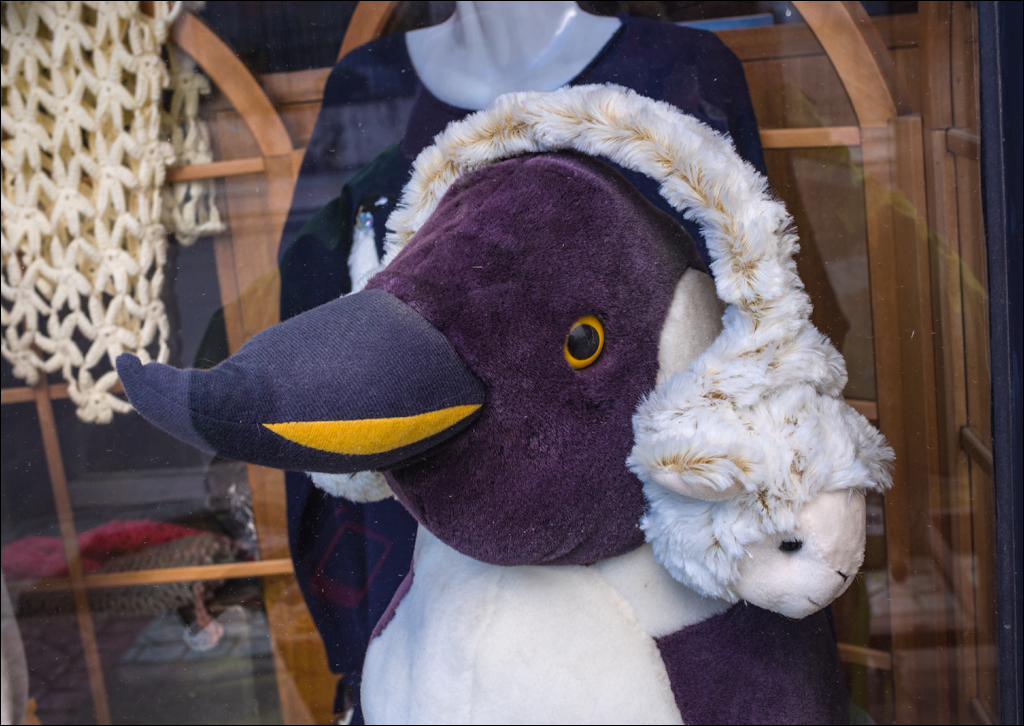 PuntaArenas R3 20181125 6071