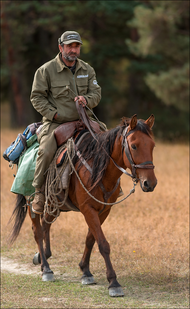 Georgia 160928084000276