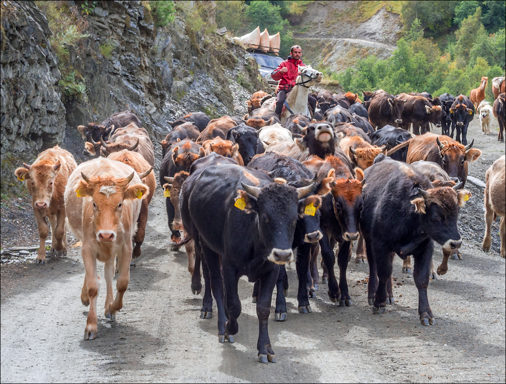 Georgia 160928093526294