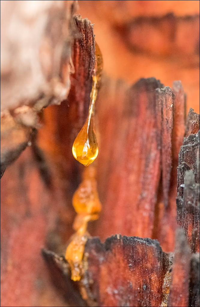 Georgia 160928115006313