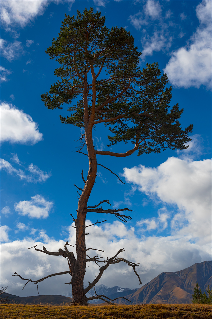 Georgia 160928123403322