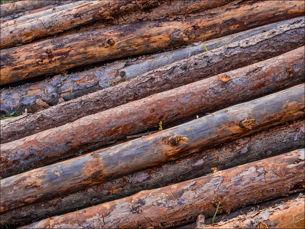 Georgia 160929134833407