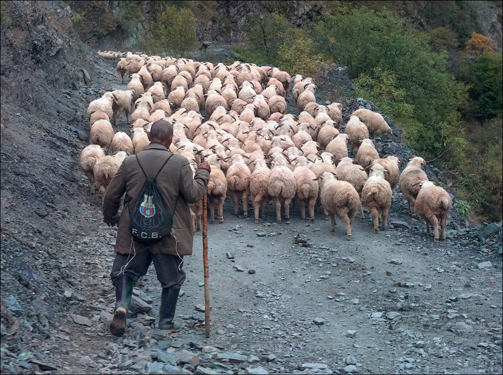 Georgia 160930151325553