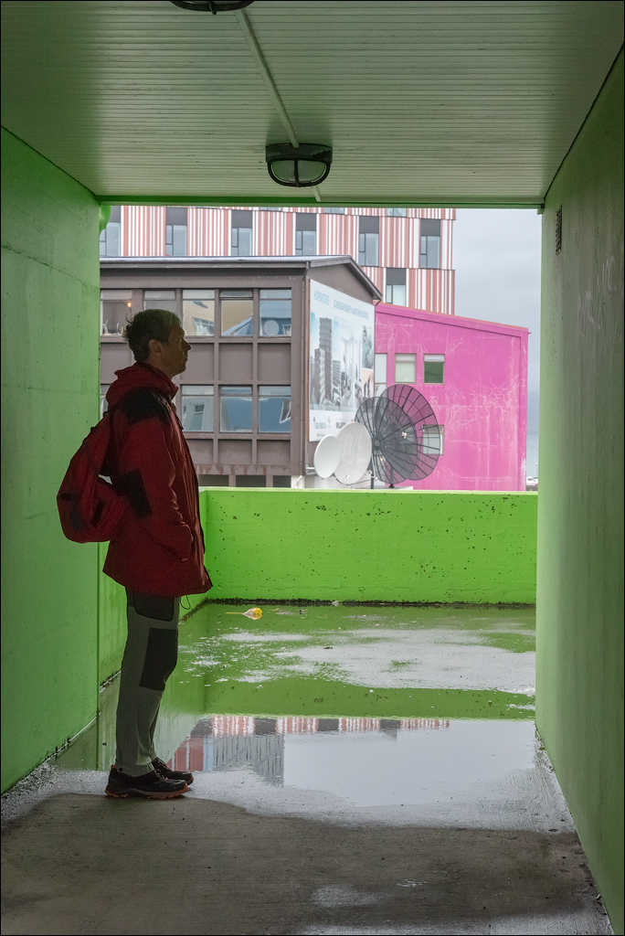 Reykjavik1 04012020 106