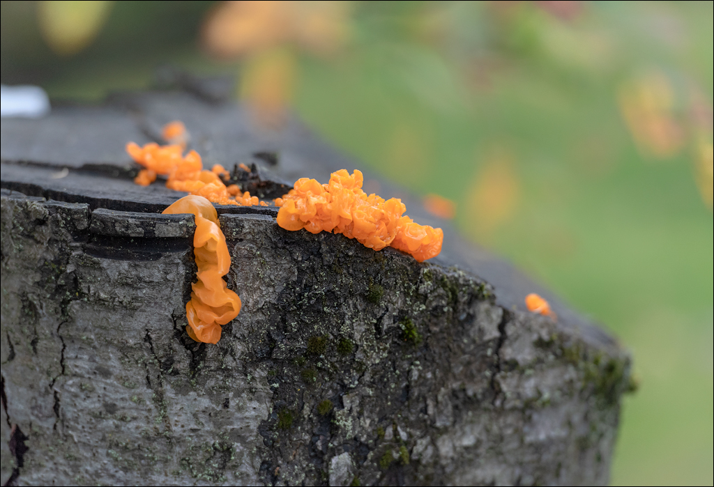 Reykjavik2 04012020 221