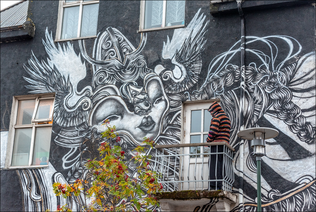 Reykjavik2 04012020 244