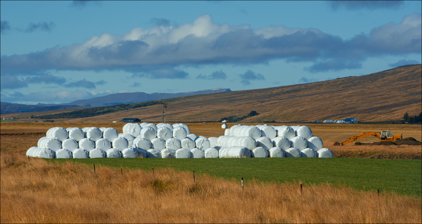 Iceland9 04012020 351