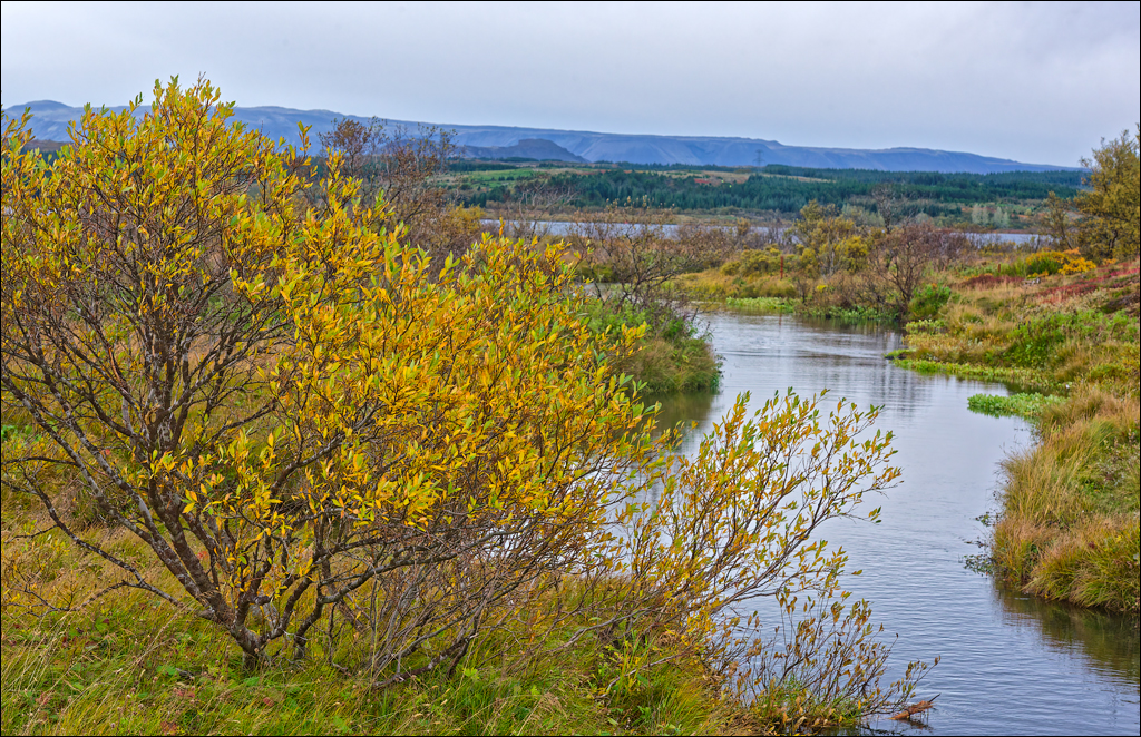 RaudholarCalgahraun 2023 103