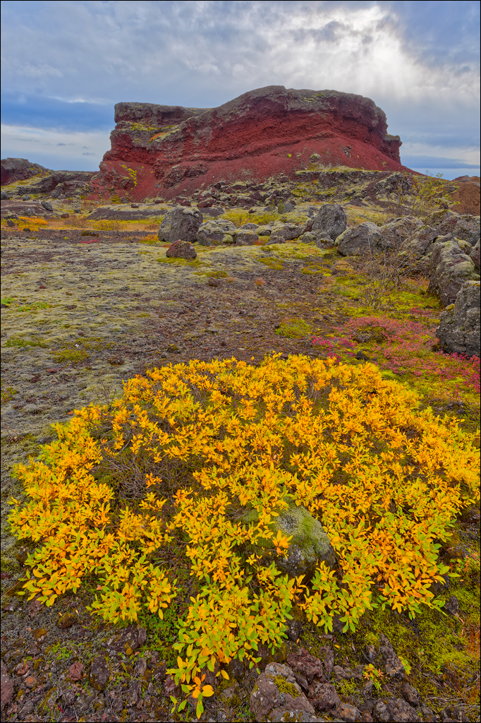 RaudholarCalgahraun 2023 121