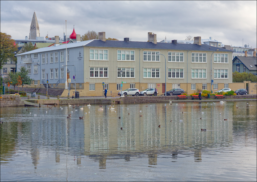 Reykjavik 2023 137