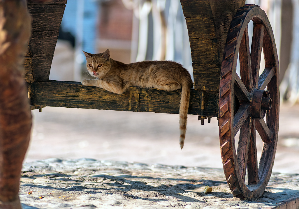 Iran201605121348581951