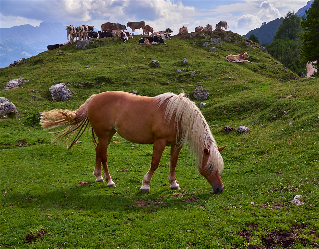 Dolomites 2017 2 121121
