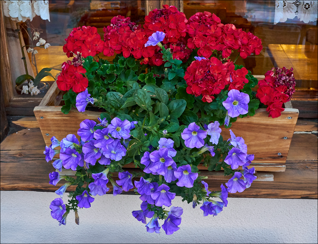 Dolomites 2017 4 058058