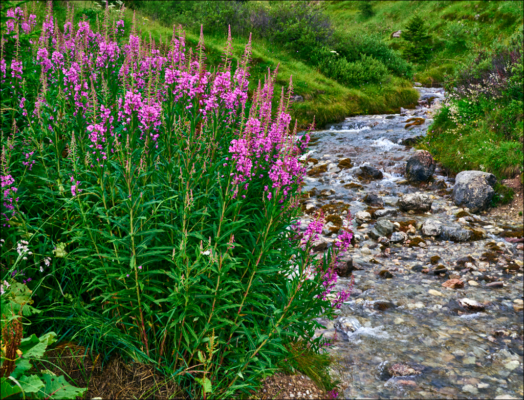 Dolomites 2017 4 090090