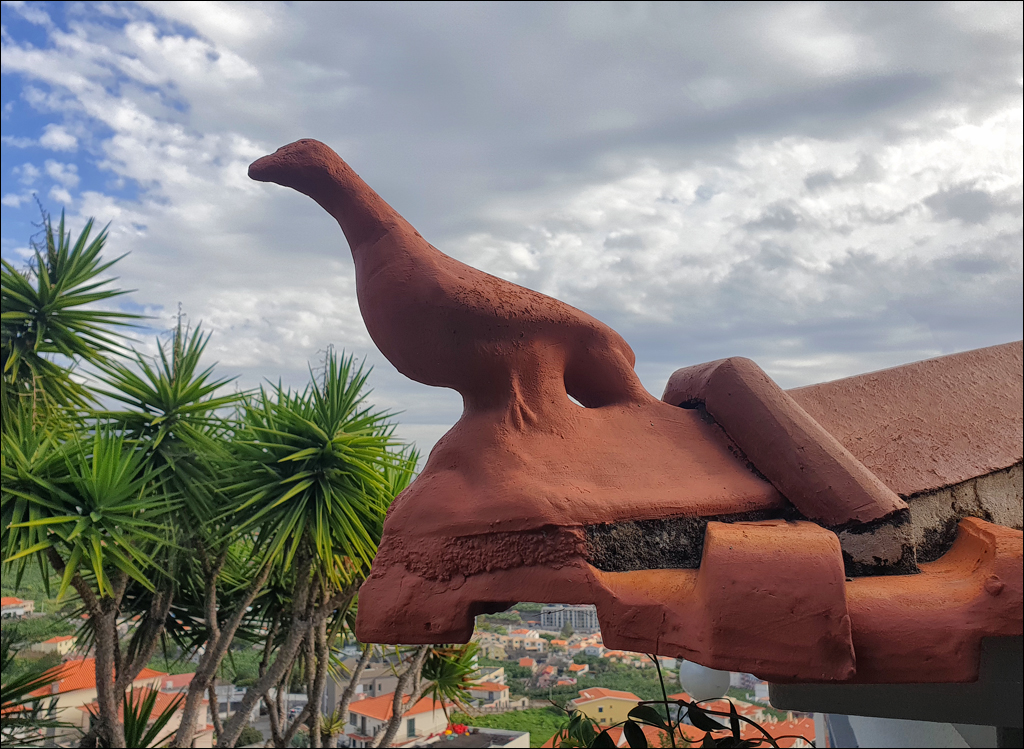 Madeira 24dec2024 08jan2025 107 00