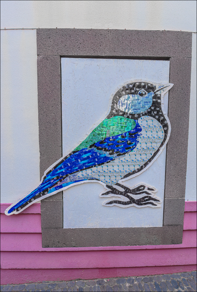 Madeira 24dec2024 08jan2025 121 00