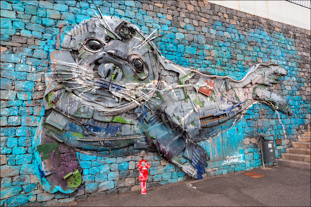 Madeira 24dec2024 08jan2025 136 00