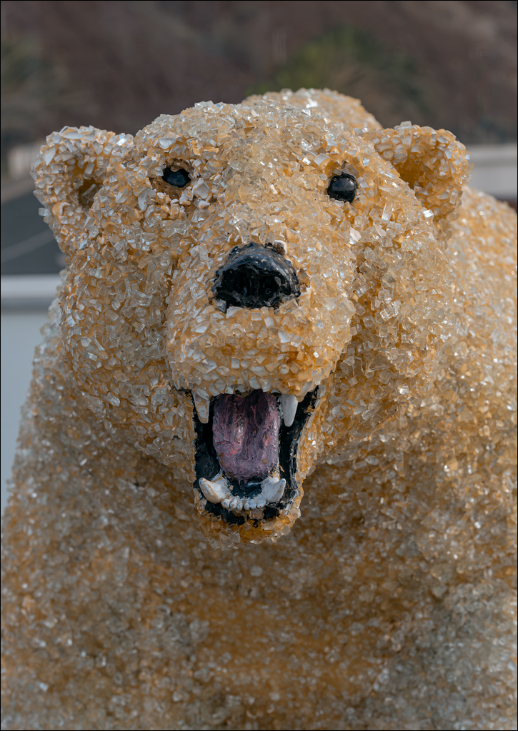 Madeira 24dec2024 08jan2025 106 00