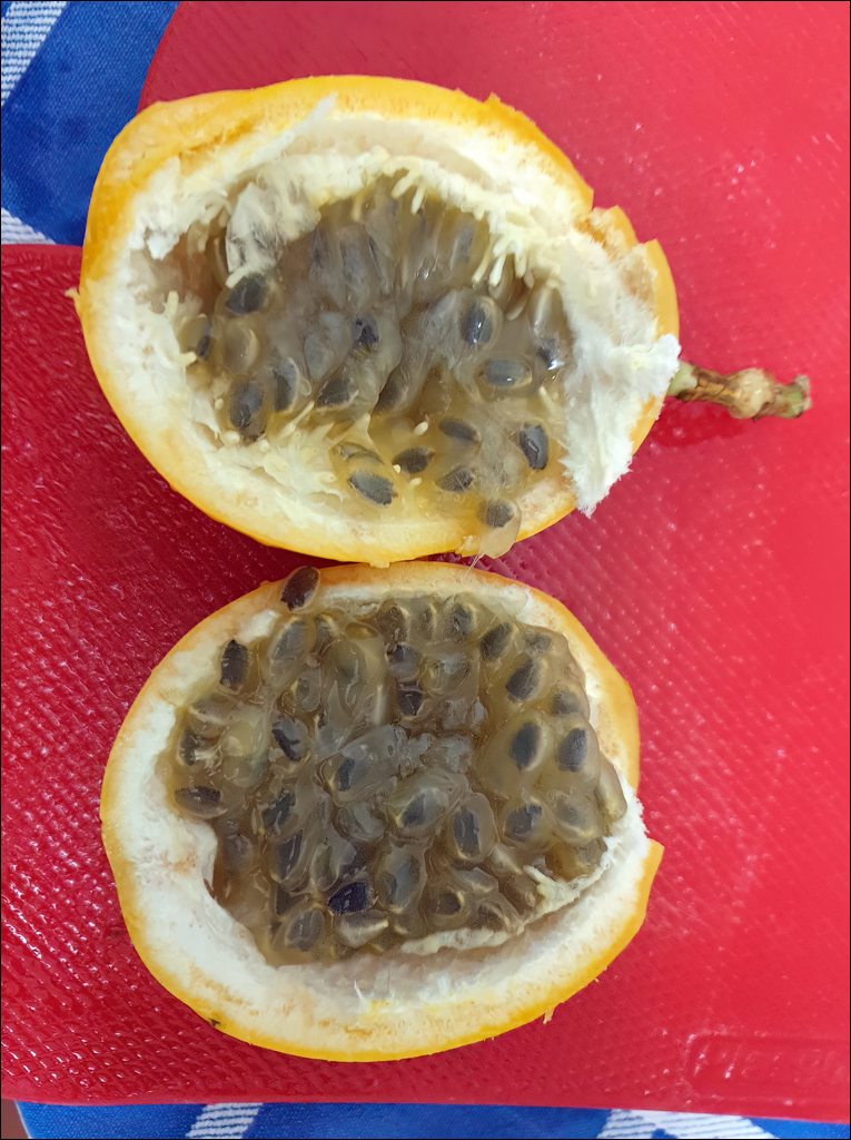 Madeira 24dec2024 08jan2025 111 00