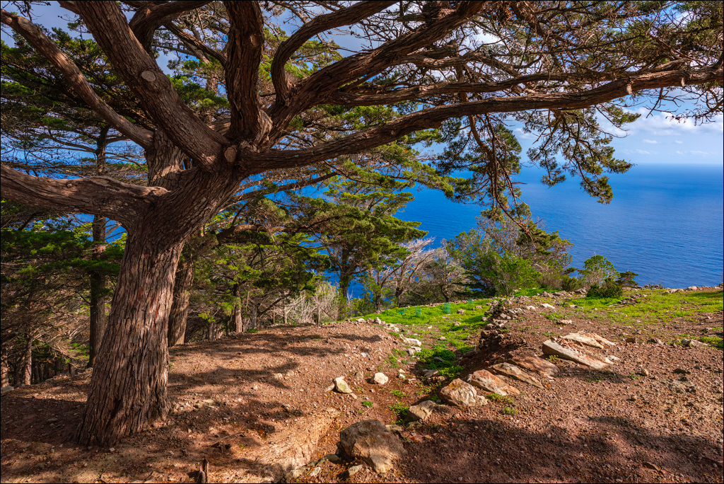 Madeira 24dec2024 08jan2025 173 00