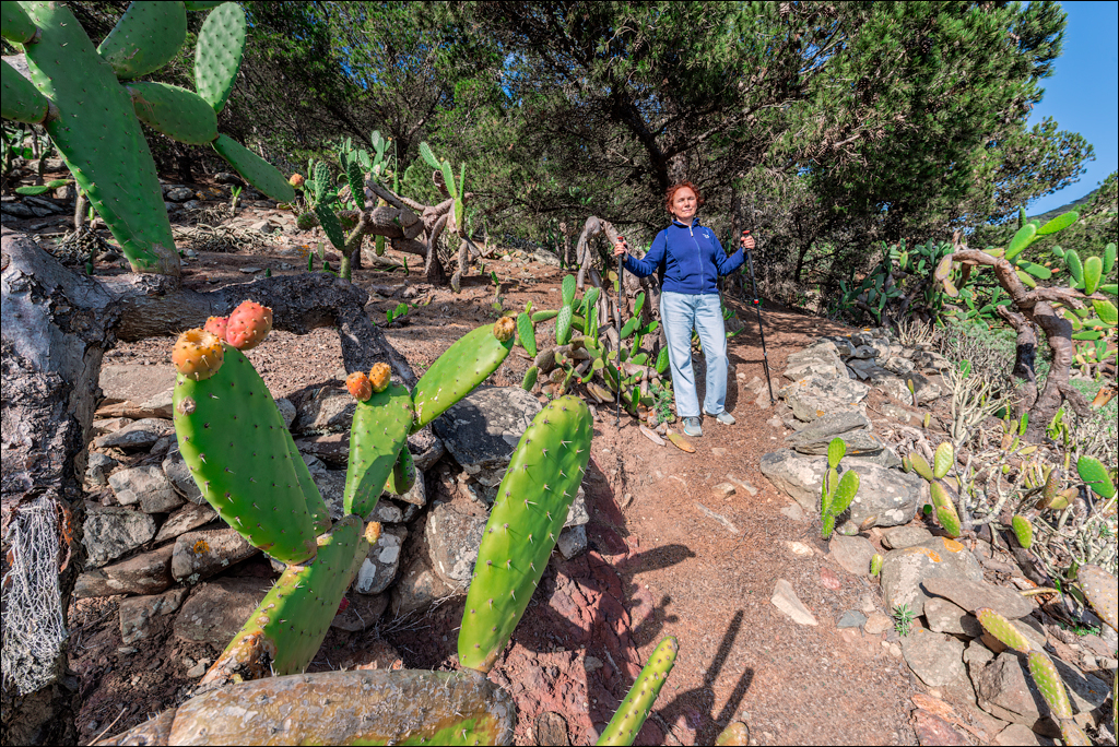 2Madeira 24dec2024 08jan2025 117 00