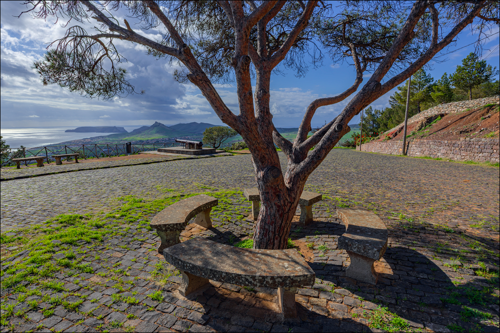 2Madeira 24dec2024 08jan2025 119 00