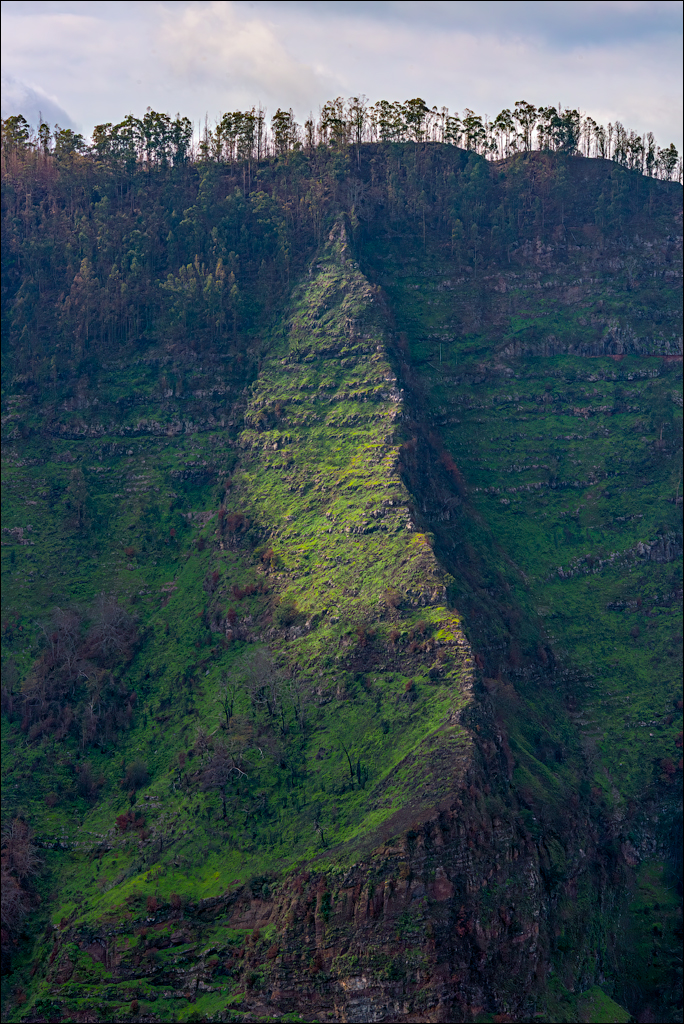 Madeira 24dec2024 08jan2025 119 00